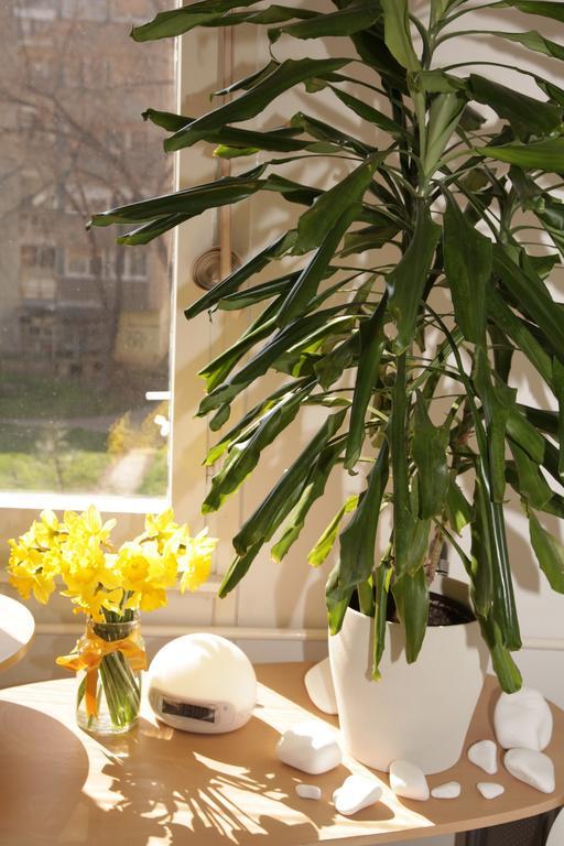 Apartment Spacious Liman Novi Sad Exterior photo